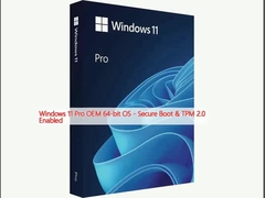 Windows 11 Pro OEM 64-bits besturingssysteem - Secure Boot & TPM 2.0 ingeschakeld