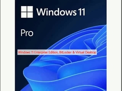 Windows 11 Enterprise Edition, BitLocker en virtueel bureaublad