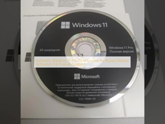 Authentieke Windows 11 Pro OEM-licentie voor Rusland Levenslange activering Volledige Russische ondersteuning